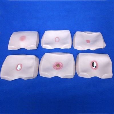 Modèles de formation en soins infirmiers cliniques