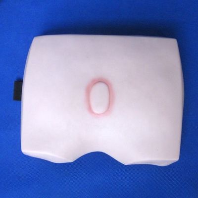 Modèles de formation en soins infirmiers cliniques