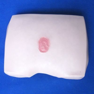 Modèles de formation en soins infirmiers cliniques