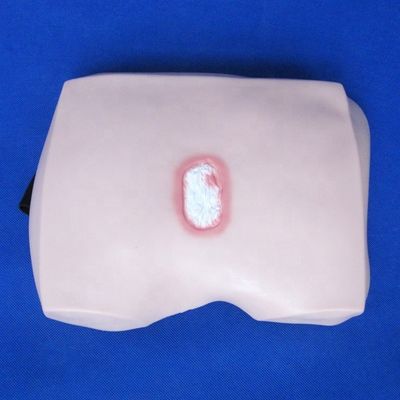 Modèles de formation en soins infirmiers cliniques