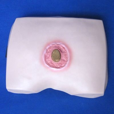 Modèles de formation en soins infirmiers cliniques