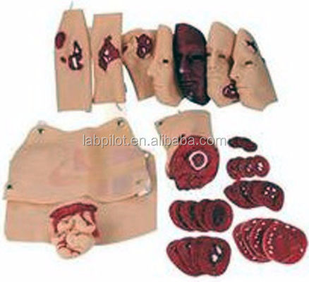 Modèle de formation aux compétences d'urgence Modèle avancé d'évaluation du traumatisme par brûlure du visage en PVC