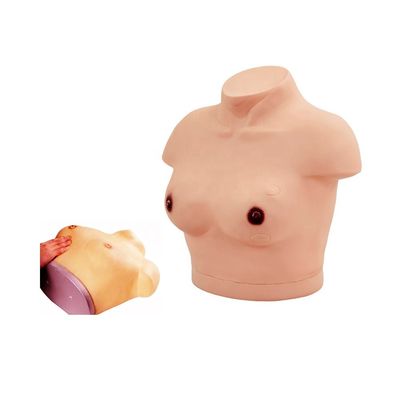 Manikine de torse féminin avec démonstration de modèle d'examen et de palpation du sein