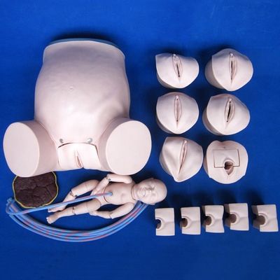 Démonstration de soins aux patients Formation complète aux compétences en accouchement Modèle Formation technique en obstétrique Mannequin