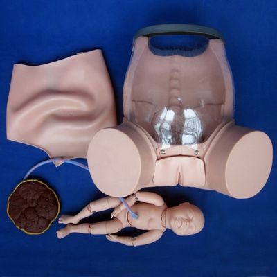 Démonstration de soins aux patients Formation complète aux compétences en accouchement Modèle Formation technique en obstétrique Mannequin