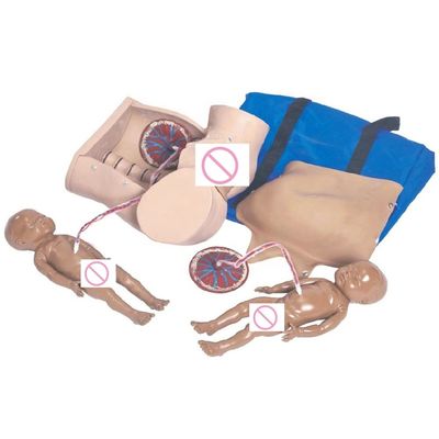 Manivelle pour les manœuvres de Léopold et la formation aux compétences en accouchement dans le cadre du programme infirmière- sage-femme