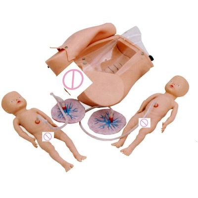 Manivelle pour les manœuvres de Léopold et la formation aux compétences en accouchement dans le cadre du programme infirmière- sage-femme
