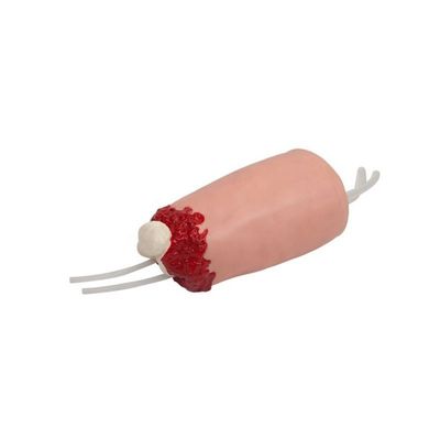 Modèle de formation à l'hémostase pour les soins infirmiers cliniques