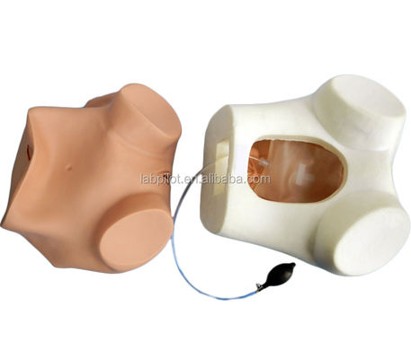 Manivelle pour gynécologue multifonctionnel Formation infirmière Modèle d'examen vaginal