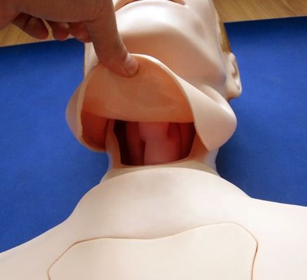 Manikine infirmière à demi-corps pour l'alimentation nasogastrique et l'entraînement à l'intubation de la trachée