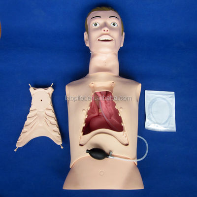 Manikine infirmière à demi-corps pour l'alimentation nasogastrique et l'entraînement à l'intubation de la trachée