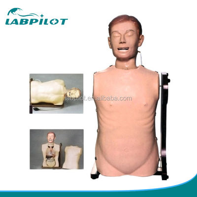 Mannequin d'alimentation nasale de taille humaine pour les voies respiratoires et la pratique gastro-intestinale