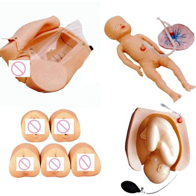 Formation complète aux compétences en accouchement Mannequin pour l'école d'infirmière et de sage-femme