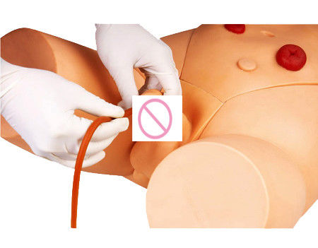 Simulateur électronique de formation en catétrisation urétrale pour les compétences infirmières