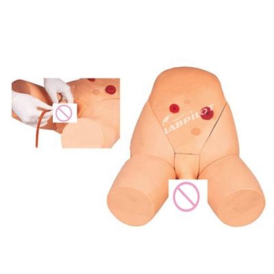 Science médicale Simulateur de cathétérisation masculine et féminine pour modèle de pratique de formation