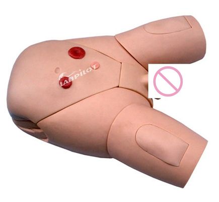 Modèle de formation en soins infirmiers par cathétérisation masculine pour les étudiants en médecine Développement des compétences