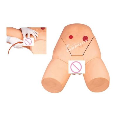 Modèle de formation à l'injection intramusculaire pour le développement des compétences en cathétérisation féminine