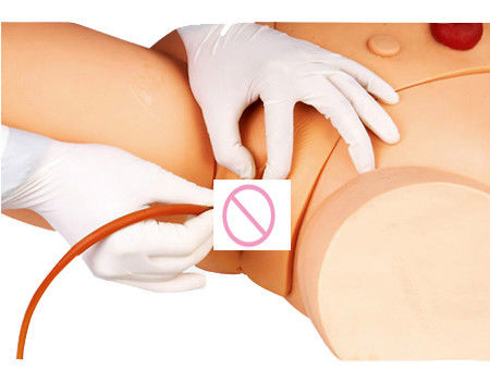 Modèle de formation à l'injection intramusculaire pour le développement des compétences en cathétérisation féminine