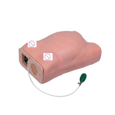 Examen obstétricale Maternité Palpation abdominale Femmes enceintes Manivelle de soins