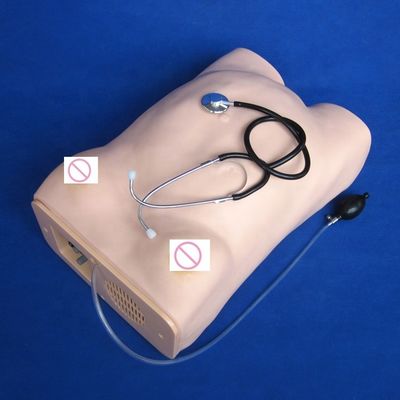 Examen obstétricale Maternité Palpation abdominale Femmes enceintes Manivelle de soins