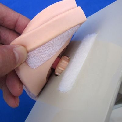 Modèle de vessie masculine Simulateur de cathétérisation urétrale pour démonstration de soins aux patients