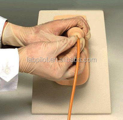 Modèle de vessie masculine Simulateur de cathétérisation urétrale pour démonstration de soins aux patients