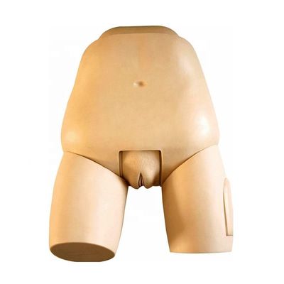 Simulateur de fond avancé pour l'examen de l'utérus Modèle de mannequin féminin postpartum