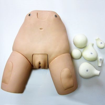 Simulateur de fond avancé pour l'examen de l'utérus Modèle de mannequin féminin postpartum