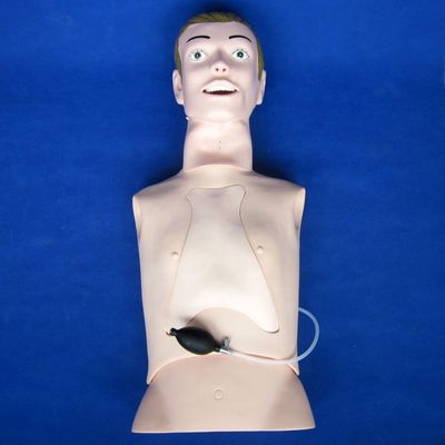 Manikine de formation à l'intubation et à l'aspiration de taille humaine professionnelle avec fonction infirmière