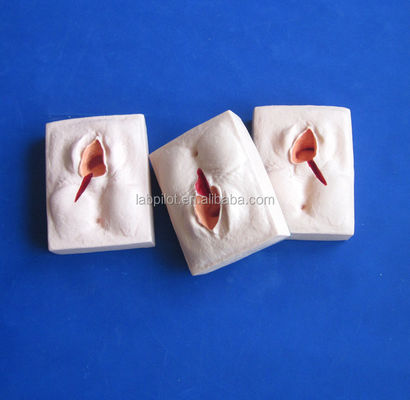 Simulateur d'entraînement à l'épisiorrhaphie en PVC avancé pour des techniques réalistes de suture de la vulve