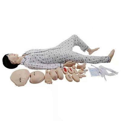 Modèle de simulation masculin et féminin