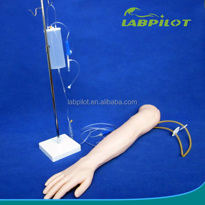 Modèle de bras d'enseignement de la perfusion et de l'injection intraveineuses pour la pratique de la simulation médicale