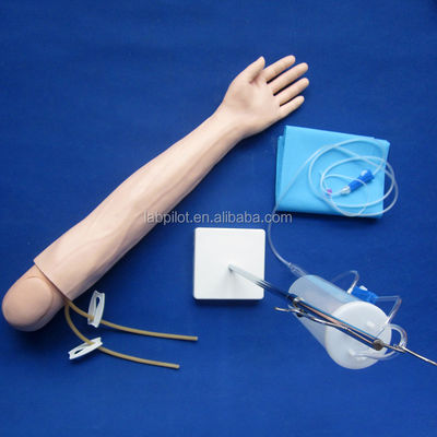 Modèle de bras d'enseignement de la perfusion et de l'injection intraveineuses pour la pratique de la simulation médicale