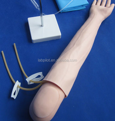 Modèle de bras d'enseignement de la perfusion et de l'injection intraveineuses pour la pratique de la simulation médicale