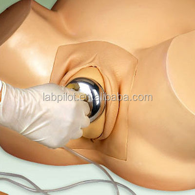 Simulateur de grossesse de taille humaine réaliste pour les obstétriciens et les médecins