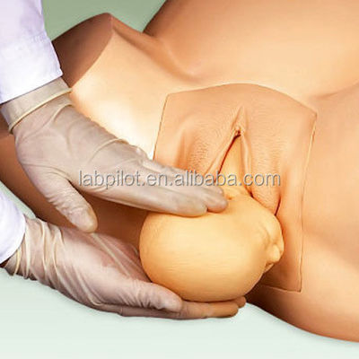 Simulateur de grossesse de taille humaine réaliste pour les obstétriciens et les médecins