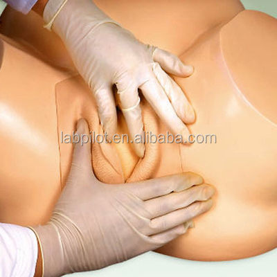 Simulateur de grossesse de taille humaine réaliste pour les obstétriciens et les médecins