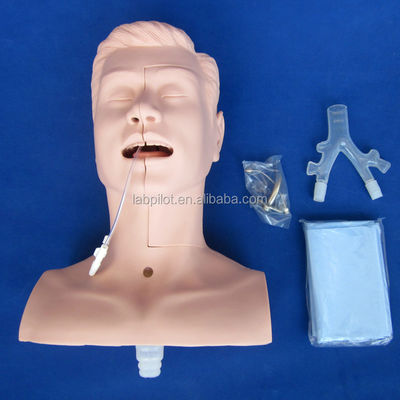 Modèle polyvalent d'aspiration de la cavité orale et nasale pour la formation clinique des collèges de médecine