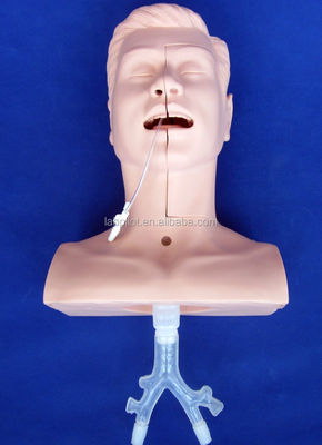Modèle polyvalent d'aspiration de la cavité orale et nasale pour la formation clinique des collèges de médecine