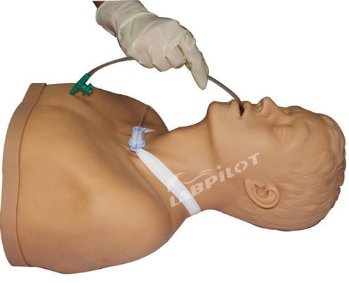 Manikine infirmière avec fonction de formation à l'aspiration Trachéostomie adulte Soins et aspiration