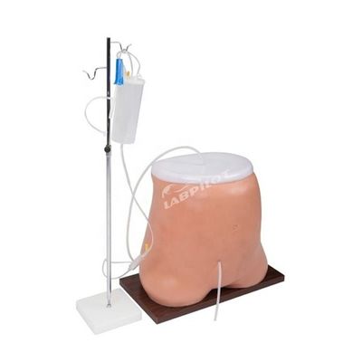 Modèle de simulateur d'entraînement à la dialyse péritonéale de taille humaine avec matériau PVC avancé