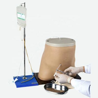 Modèle de simulateur d'entraînement à la dialyse péritonéale de taille humaine avec matériau PVC avancé