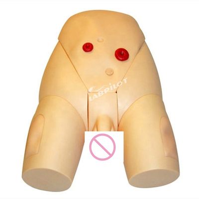 Catétrisation masculine IM Modèle d'injection pour les sciences médicales Formation en soins infirmiers cliniques