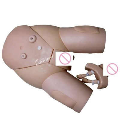 Catétrisation masculine IM Modèle d'injection pour les sciences médicales Formation en soins infirmiers cliniques