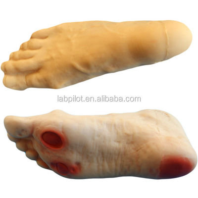 Modèle de simulateur de soins infirmiers pour pieds diabétiques avec des compétences en lavement