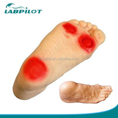 Modèle de simulateur de soins infirmiers pour pieds diabétiques avec des compétences en lavement