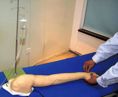 Modèle d'entraînement à la transfusion veineuse et à l'injection avancée en PVC à bras IV entièrement fonctionnel