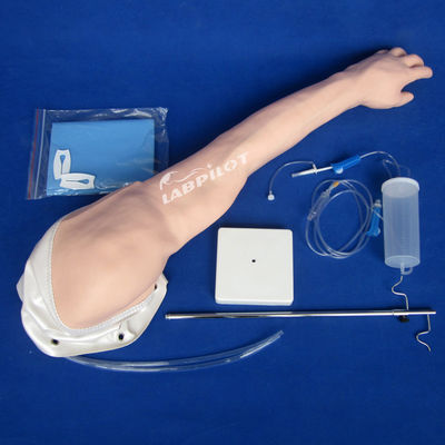 Modèle d'entraînement à la transfusion veineuse et à l'injection avancée en PVC à bras IV entièrement fonctionnel