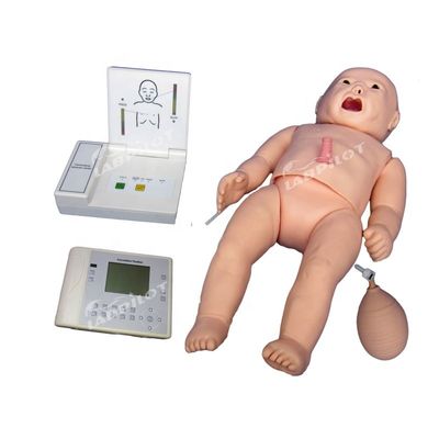 Manikine à fonction d'auscultation de la RCR pour les soins de maternité et pédiatriques multifonctionnels