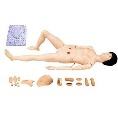 Catégories Pratique complète de soins infirmiers avec mannequin infirmier multifonctionnel